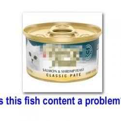 Can fish based cat foods contribute or cause CKD?