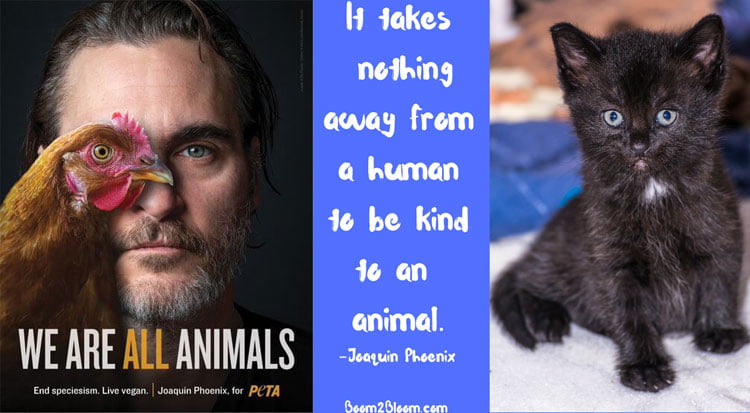 Joaquin Phoenix animal advocate