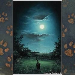 Cat active at night under the full moon