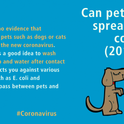 Can cats and dogs spread the new coronavirus?