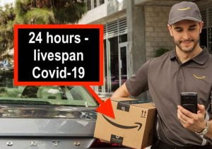 Lifespan Covid-19 on cardboard