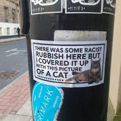 Cat poster covers an unwanted one