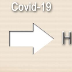 Cat to human transmission?