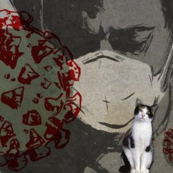 Don't kiss your pet says Hong Kong authorities