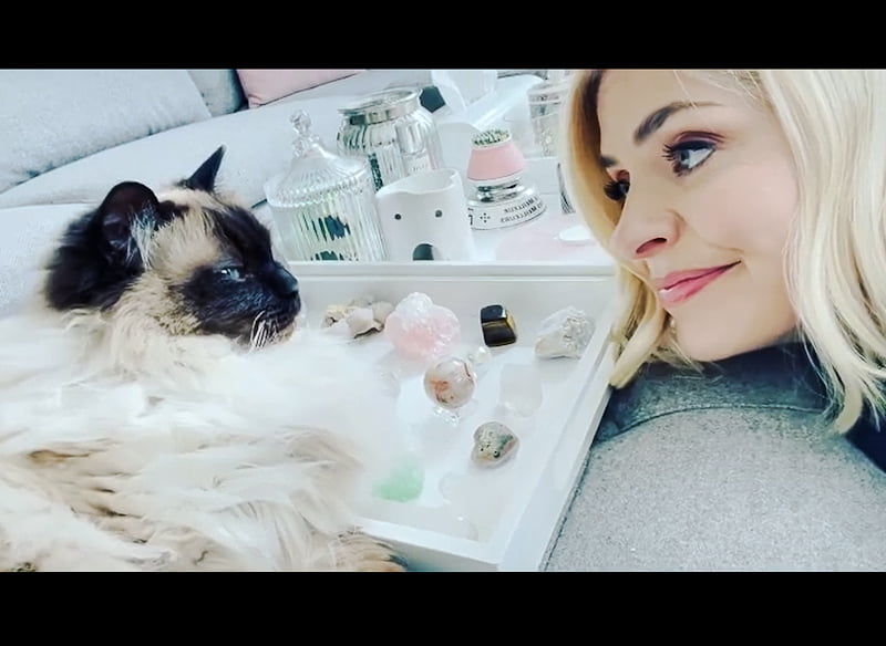 Holly Willoughby with one of her Himalayan cats