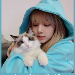 Lisa with Lily a Ragdoll cat