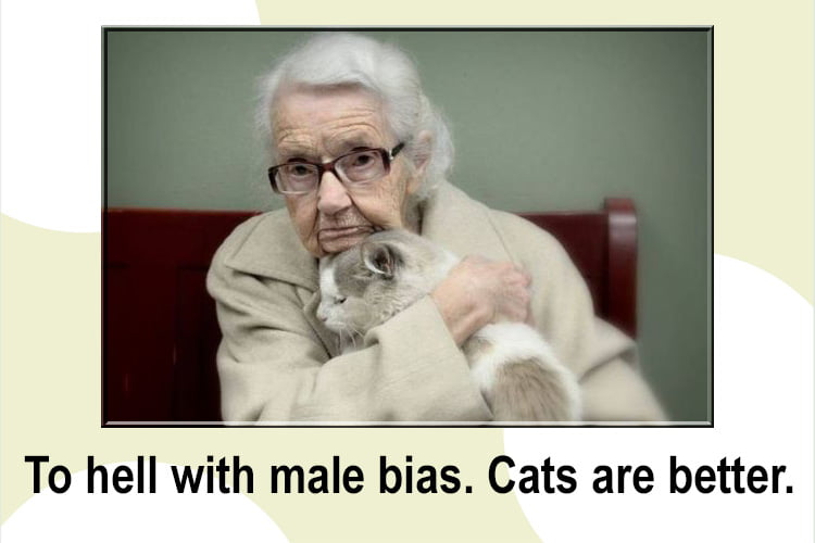 Male bias against women leads to women preferring-cats
