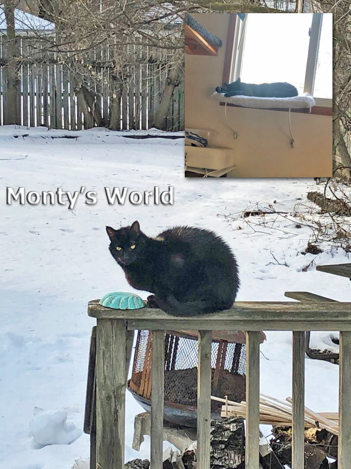 Monty's World