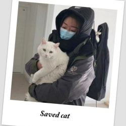 Saved cat