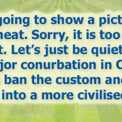 Cat and dog meat to be banned from Shenzhen from May 1st 2020