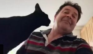 Man thinks his loving cat is vicious