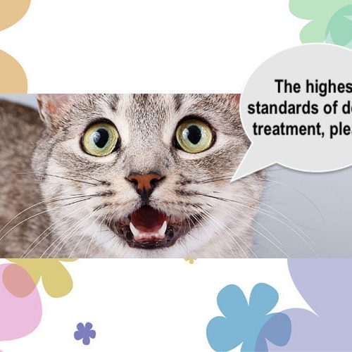 Veterinarians are cheaper than doctors. Is this right?