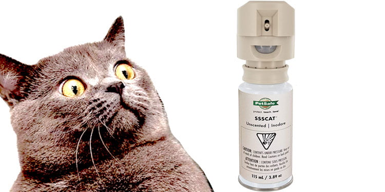 Cat deterrent. Motion activited gas cannister