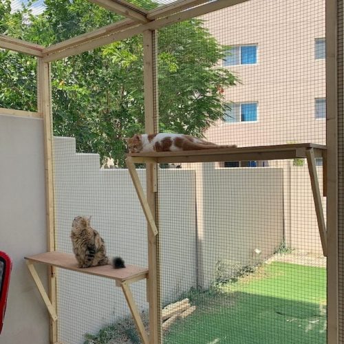 Lau's Abu Dhabi catio