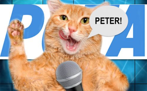 Why PETA pronounce their acronym PETER