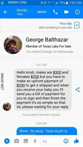 Selling dog by text with upfront payment