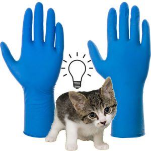 Disposable gloves a potential hazard to domestic cats