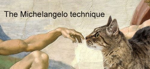 The Michelangelo technique for humans greeting cats