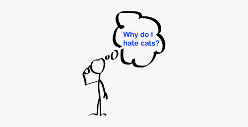Why do I hate cats?