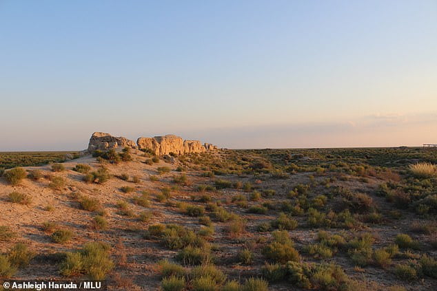 The area in Kazakhstan where the remains of the cat were found
