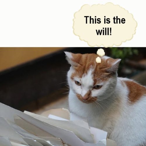 Cat finds a lost will stored by a lawyer