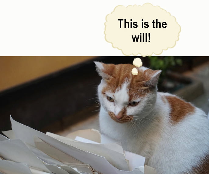 Cat finds a lost will stored by a lawyer