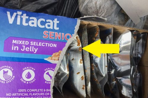 Commercaially manufactured cat food infested with flies