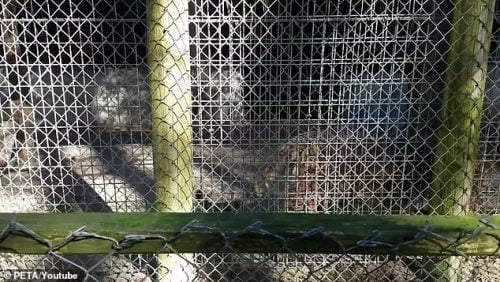 The disgusting concrete and steel cage in which Lila lives and has lived for many years.