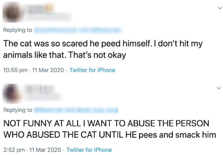 Twitter users rebuke cat abuser