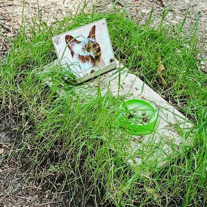 Cat grave in Chernobyl