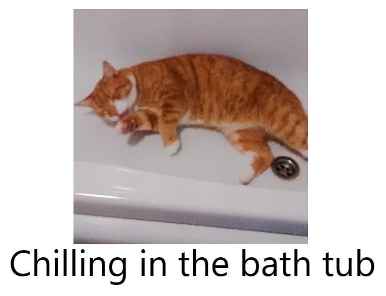 Cat in the bath tub
