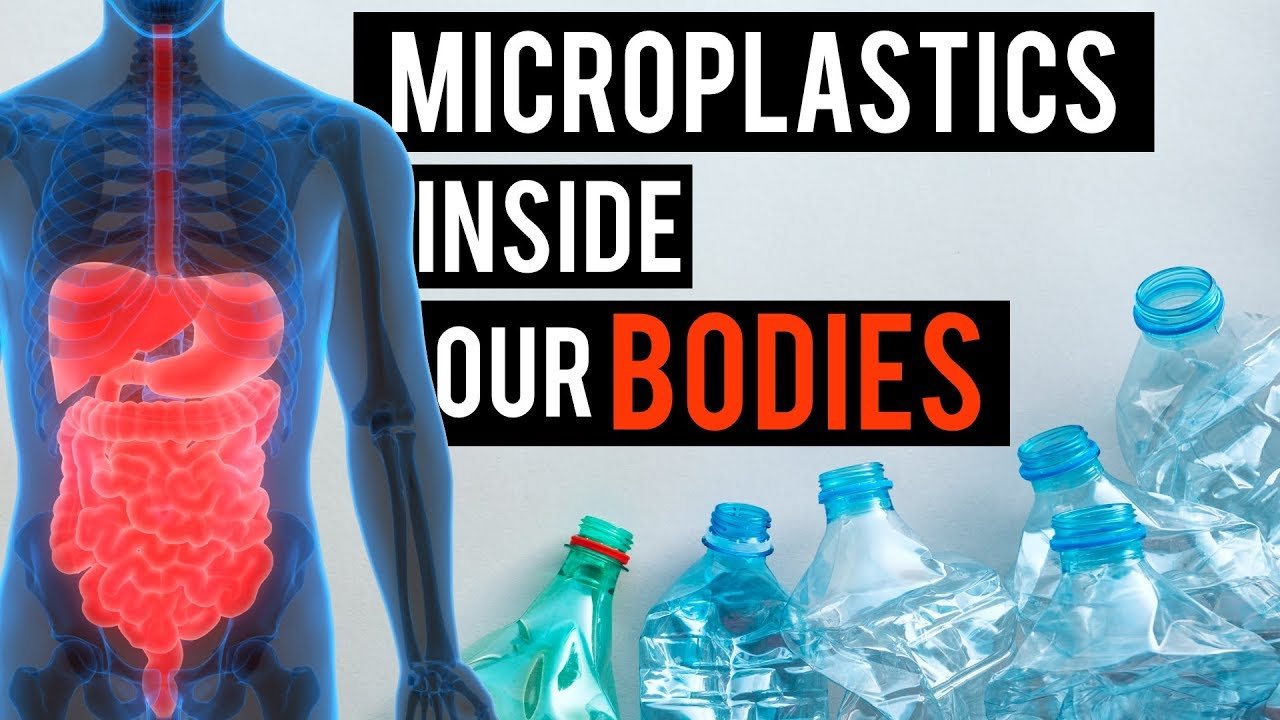 Plastic inside our bodies