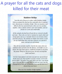 Prayer for cats and dogs killed for their meat