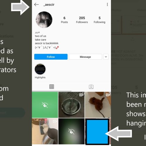 _aescir on Instagram removed