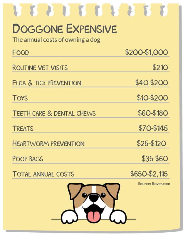 dog food yearly cost