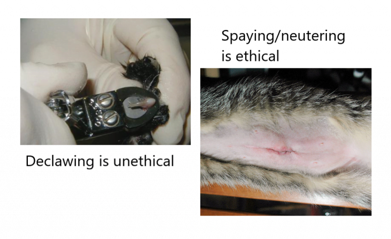 Declawing is unethical and de-sexing is ethical