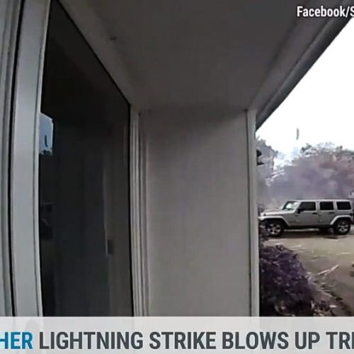 Lighting strike and cat runs