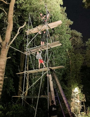 Scaffolders build tower to rescue cat stuck in tree