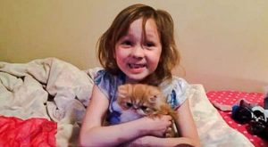 Birthday girl with her Persian kitten