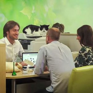 Russian bank promotion using domestic cats and superstitions (2014)