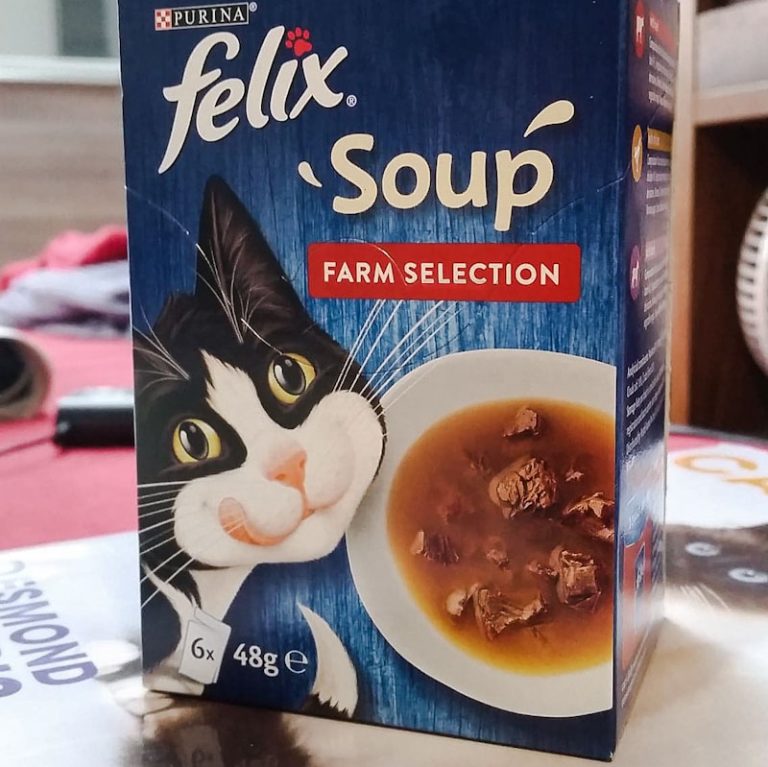 Are cat soups any good? PoC