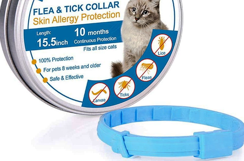 Are flea collars safe for kittens? PoC
