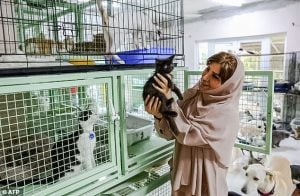 Maryam al-Balushi in her home surrounded by rescue cats