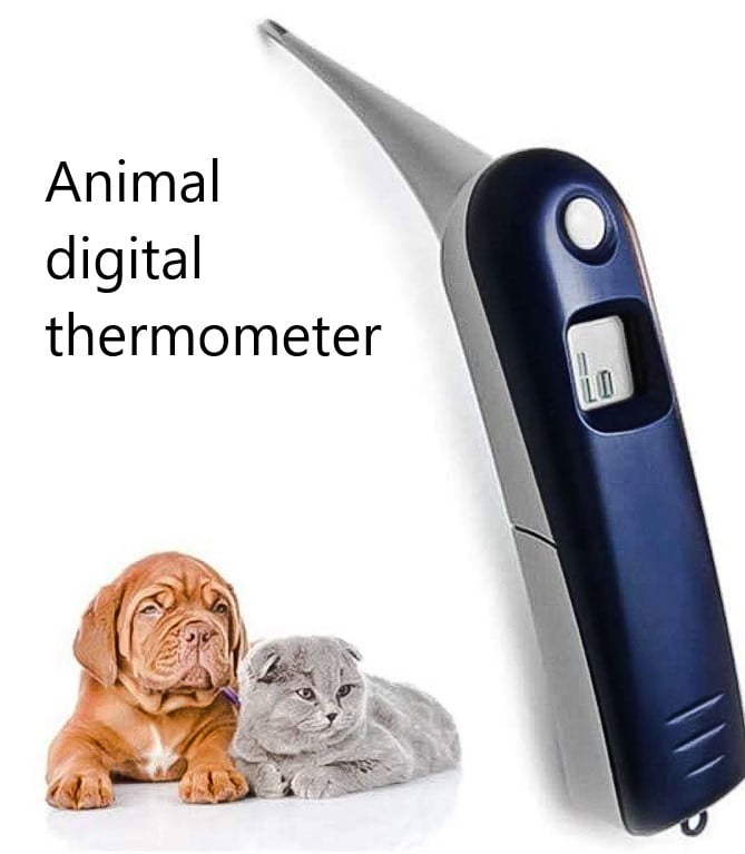 Pet digital thermometer