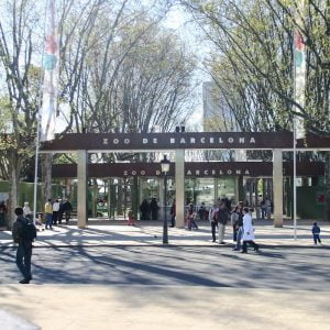 Barcelona Zoo