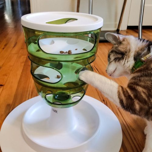 Puzzle cat feeder.
