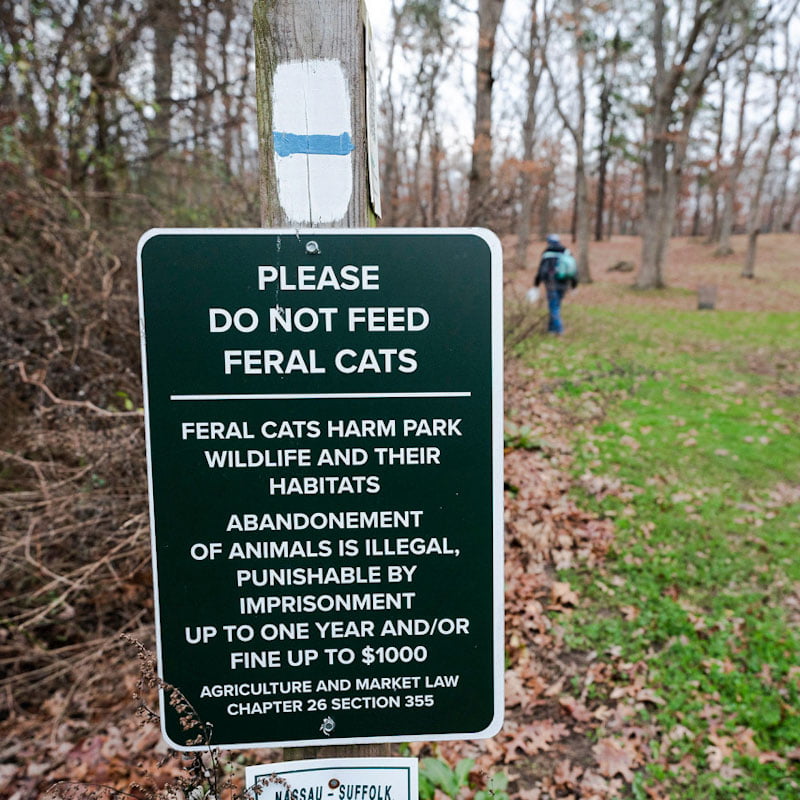 Sign telling people to stop feeding the feral cats at Bethpage State Park