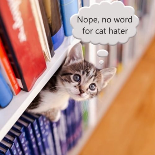 No English language word for cat hater