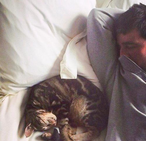 Noel Gallagher and the family cat