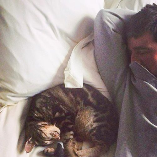 Noel Gallagher and the family cat